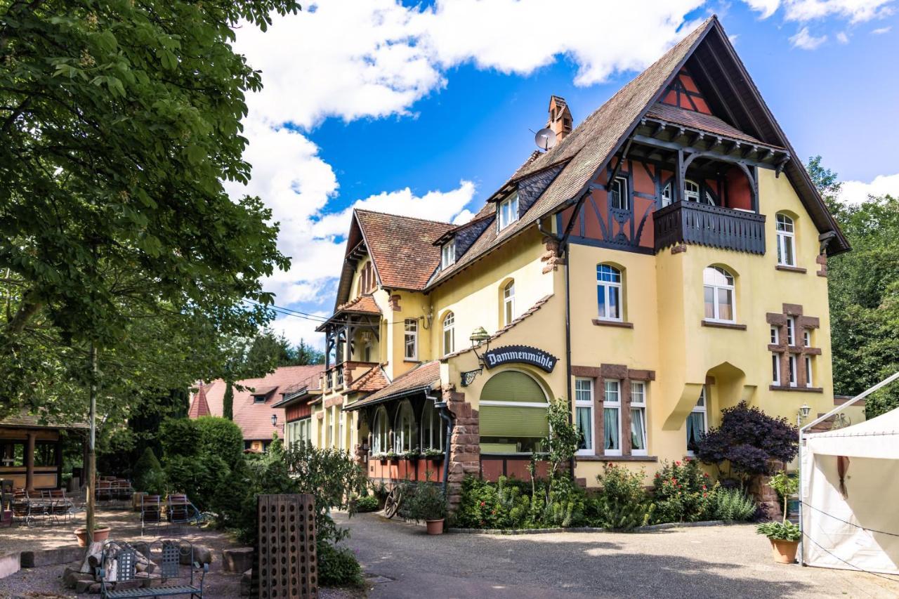 Hotel Dammenmuehle Лар Екстер'єр фото